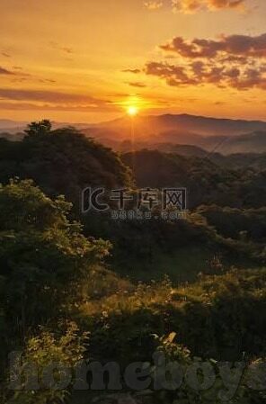 免费伦理电影网-免费伦理电影网，网络时代的文化净土