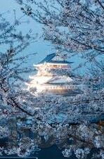 亚洲天堂一区二区-探索亚洲的隐秘瑰宝，一区二区的独特魅力